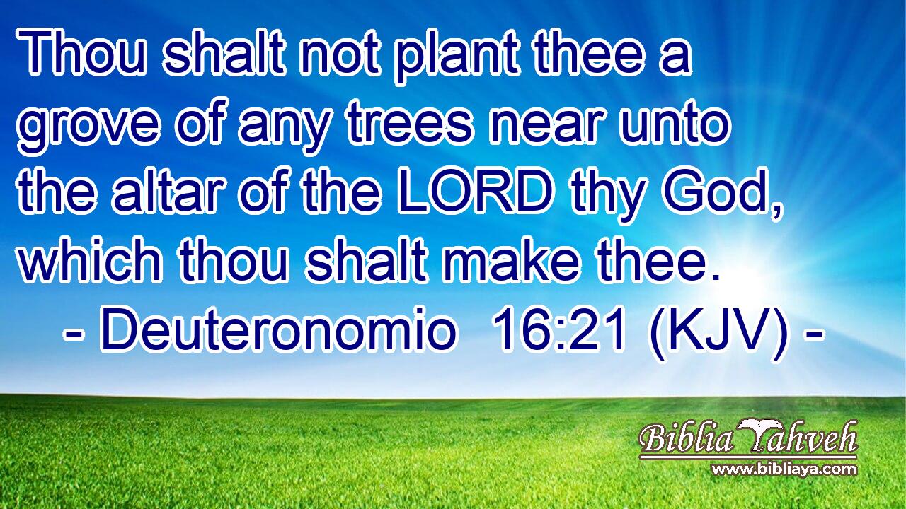 Thou shalt not plant thee a grove of any trees near unto the altar of the LORD thy God, which thou shalt make thee.