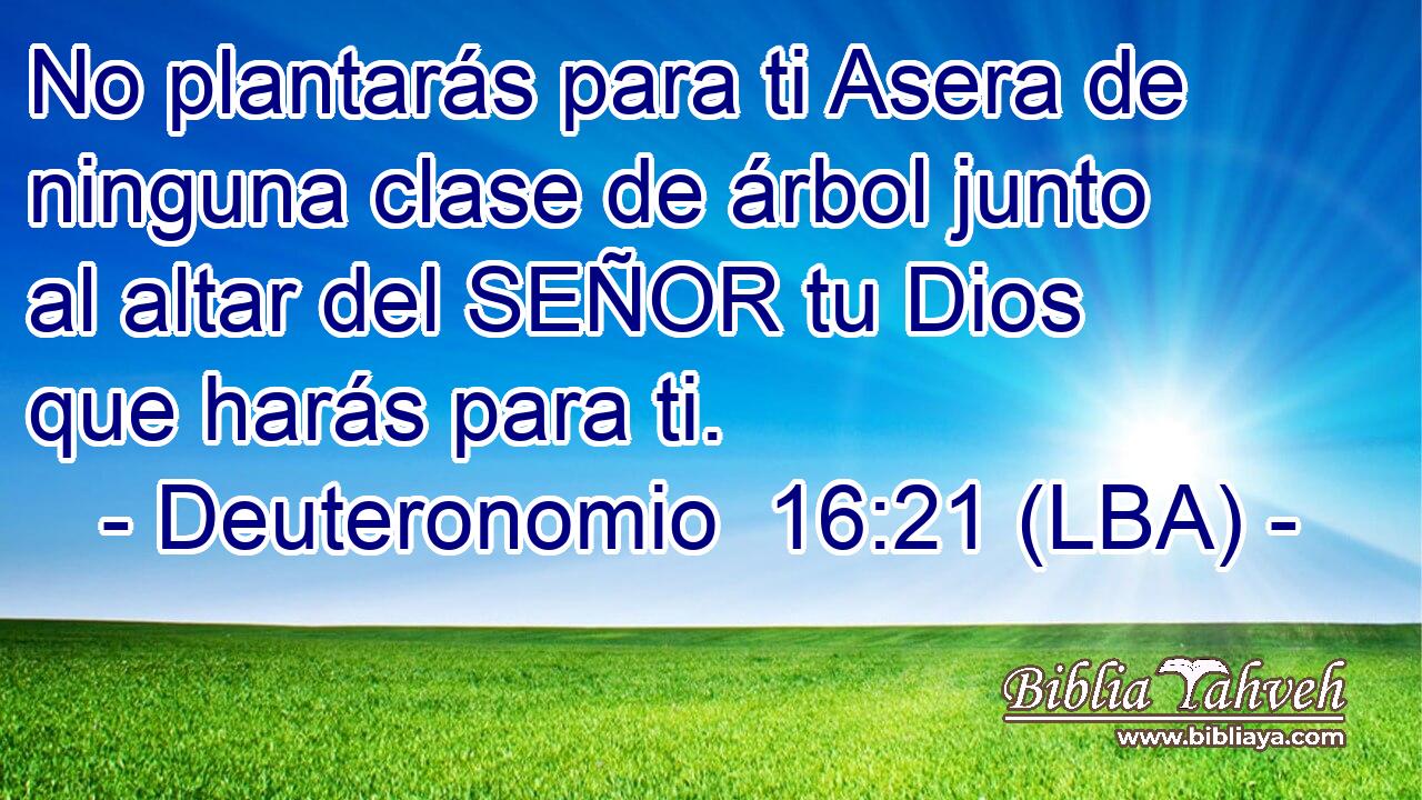 No plantarás para ti Asera de ninguna clase de árbol junto al altar del SEÑOR tu Dios que harás para ti.