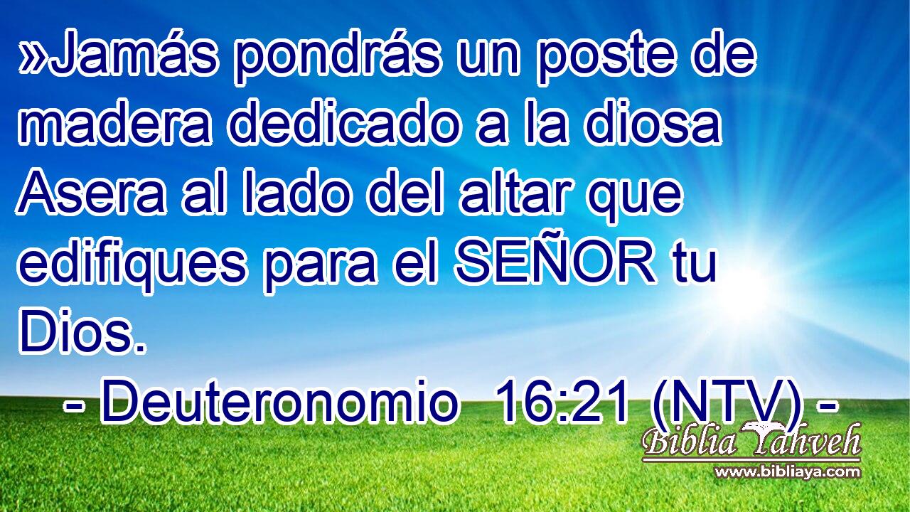 »Jamás pondrás un poste de madera dedicado a la diosa Asera al lado del altar que edifiques para el SEÑOR tu Dios.