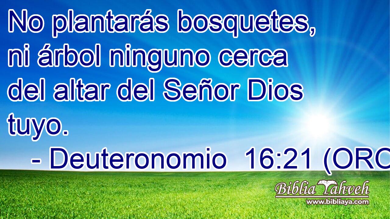  No plantarás bosquetes, ni árbol ninguno cerca del altar del Señor Dios tuyo. 