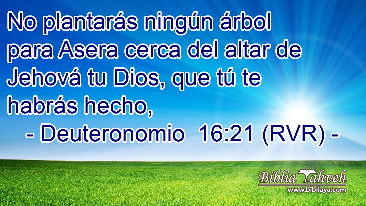 No plantarás ningún árbol para Asera cerca del altar de Jehová tu Dios, que tú te habrás hecho,