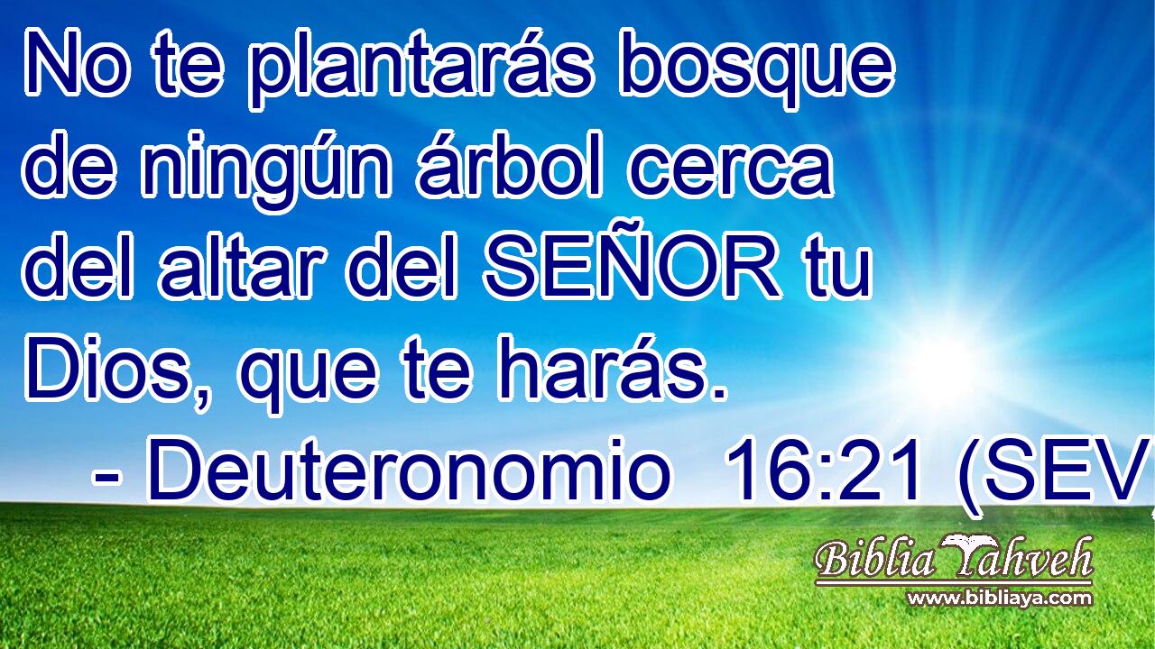 No te plantarás bosque de ningún árbol cerca del altar del SEÑOR tu Dios, que te harás.