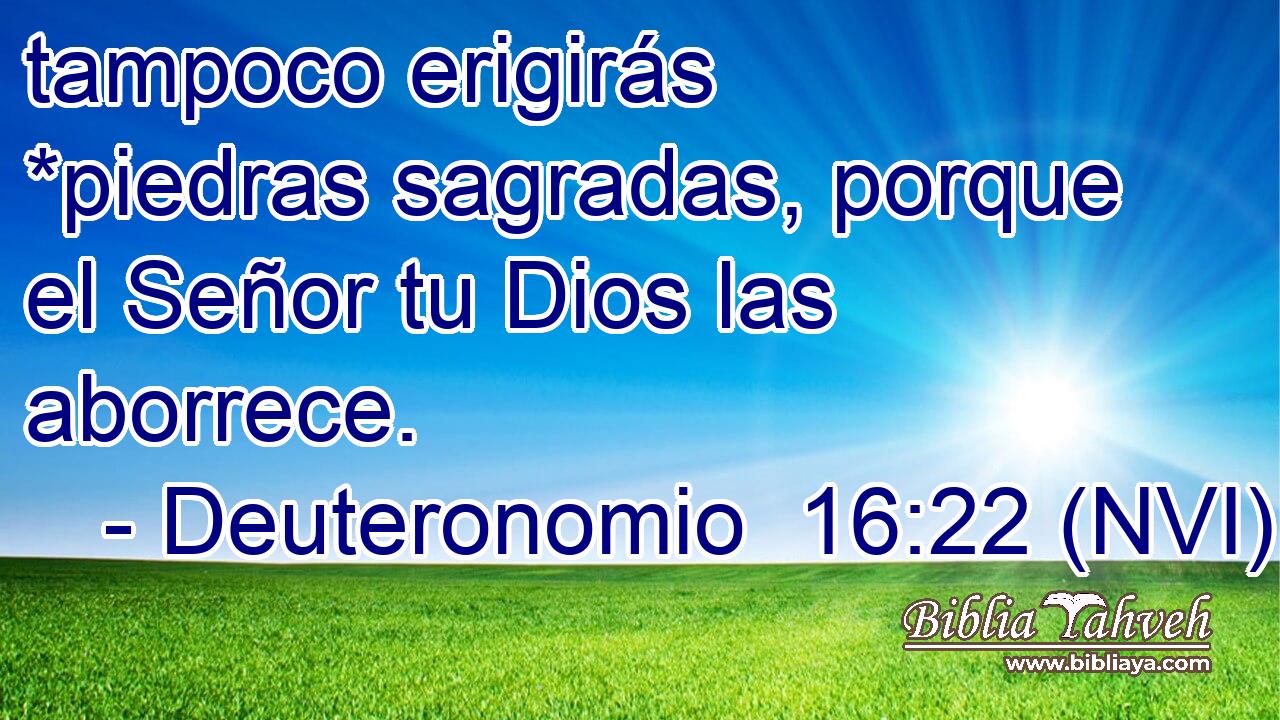  tampoco erigirás *piedras sagradas, porque el Señor tu Dios las aborrece. 