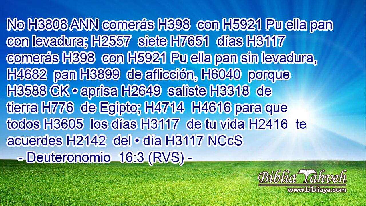 No H3808 ANN comerás H398  con H5921 Pu ella pan con levadura; H2557  siete H7651  días H3117  comerás H398  con H5921 Pu ella pan sin levadura, H4682  pan H3899  de aflicción, H6040  porque H3588 CK • aprisa H2649  saliste H3318  de tierra H776  de Egipto; H4714  H4616 para que todos H3605  los días H3117  de tu vida H2416  te acuerdes H2142  del • día H3117 NCcS