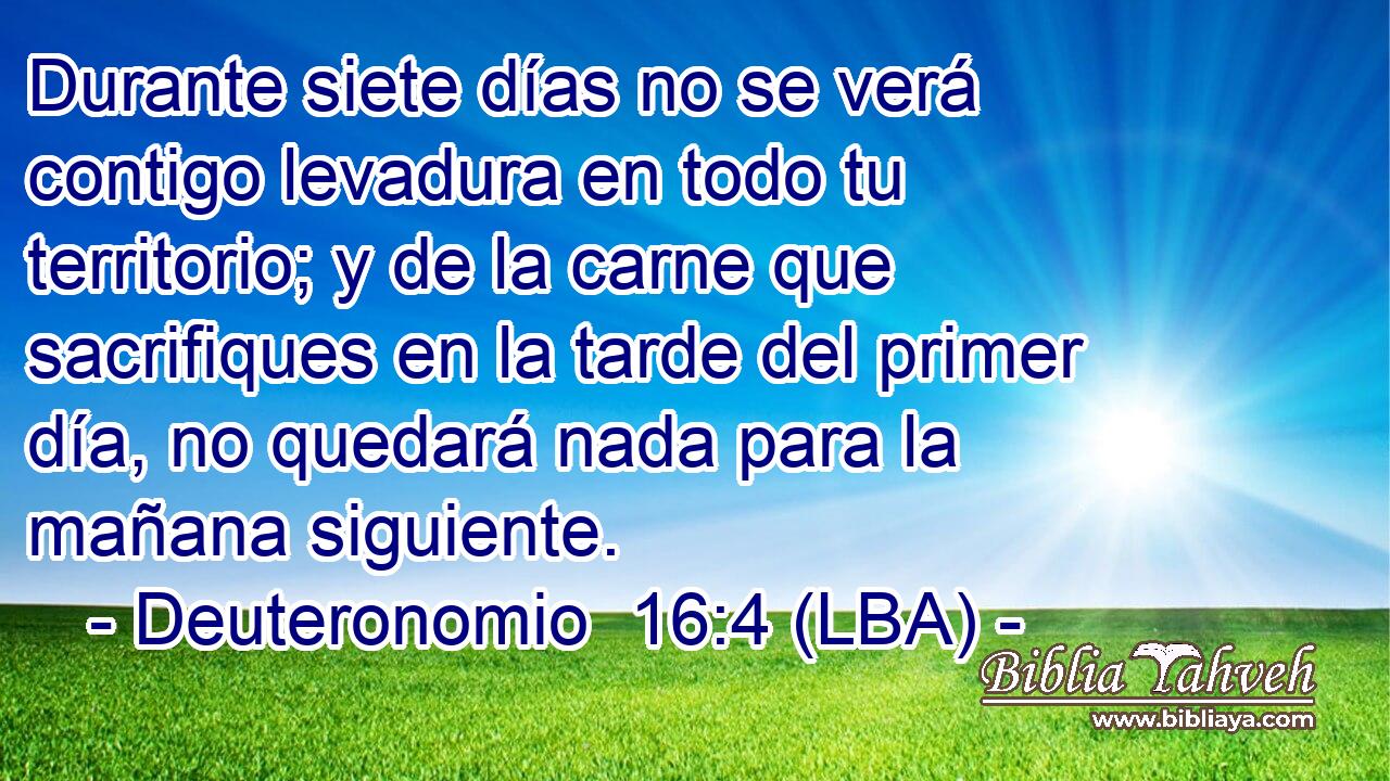 Durante siete días no se verá contigo levadura en todo tu territorio; y de la carne que sacrifiques en la tarde del primer día, no quedará nada para la mañana siguiente.