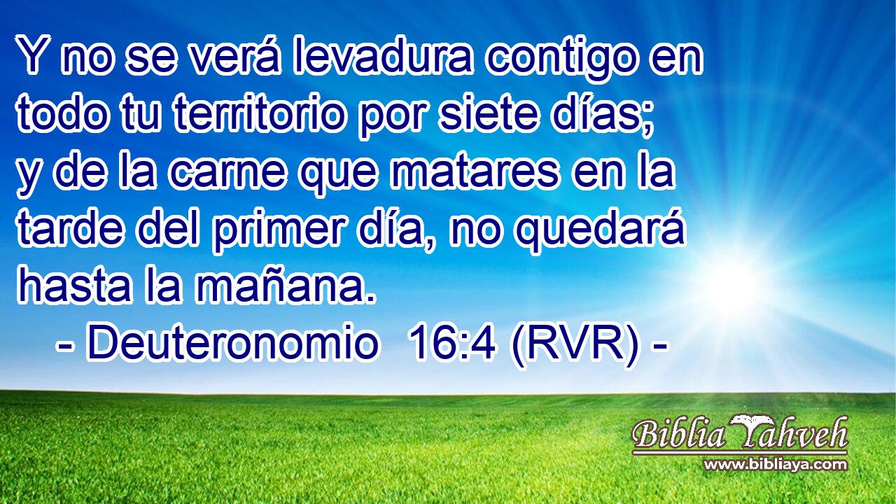 Y no se verá levadura contigo en todo tu territorio por siete días; y de la carne que matares en la tarde del primer día, no quedará hasta la mañana.