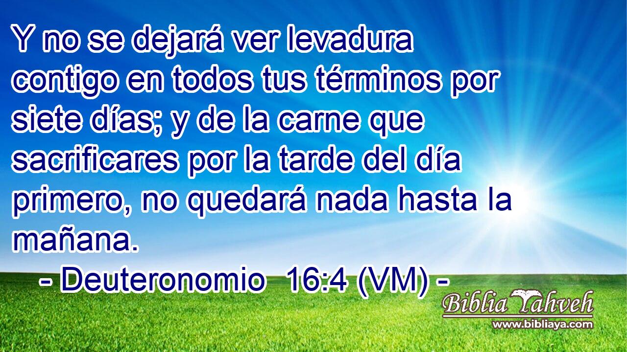 Y no se dejará ver levadura contigo en todos tus términos por siete días; y de la carne que sacrificares por la tarde del día primero, no quedará nada hasta la mañana. 
