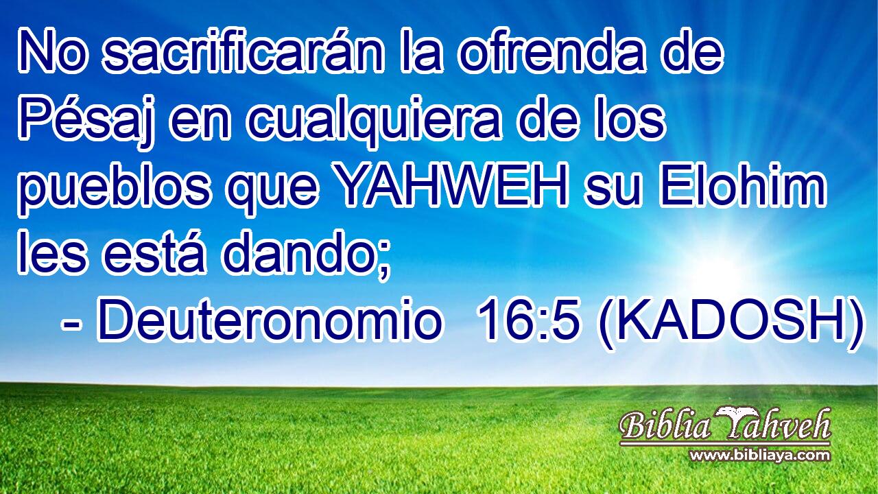  No sacrificarán la ofrenda de Pésaj en cualquiera de los pueblos que YAHWEH su Elohim les está dando; 