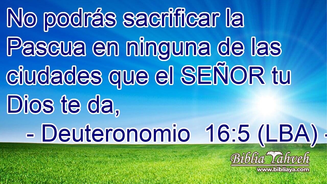 No podrás sacrificar la Pascua en ninguna de las ciudades que el SEÑOR tu Dios te da,