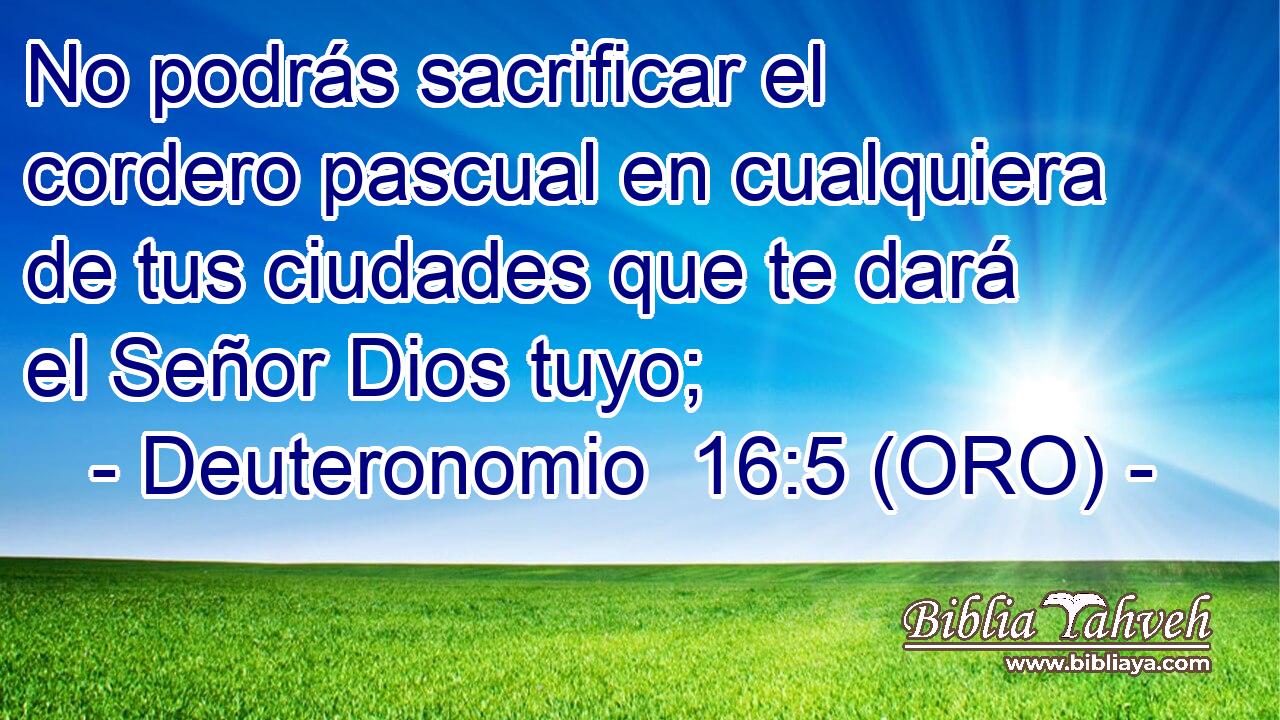  No podrás sacrificar el cordero pascual en cualquiera de tus ciudades que te dará el Señor Dios tuyo; 