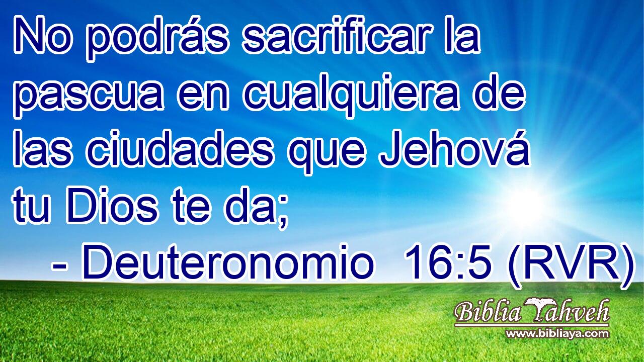 No podrás sacrificar la pascua en cualquiera de las ciudades que Jehová tu Dios te da;