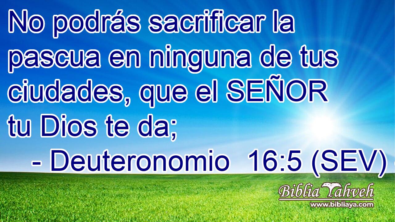 Deuteronomio 16:5 (SEV) - No Podrás Sacrificar La Pascua En Ning...