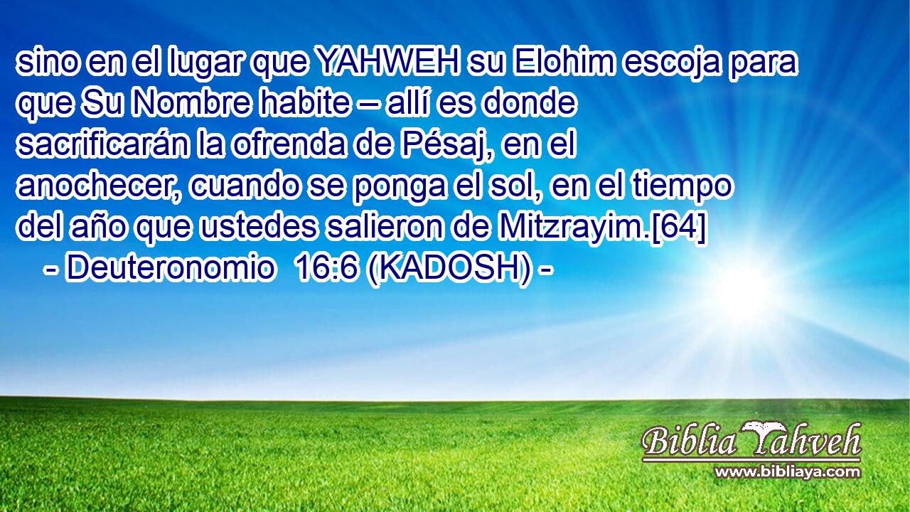  sino en el lugar que YAHWEH su Elohim escoja para que Su Nombre habite – allí es donde sacrificarán la ofrenda de Pésaj, en el anochecer, cuando se ponga el sol, en el tiempo del año que ustedes salieron de Mitzrayim.[64] 