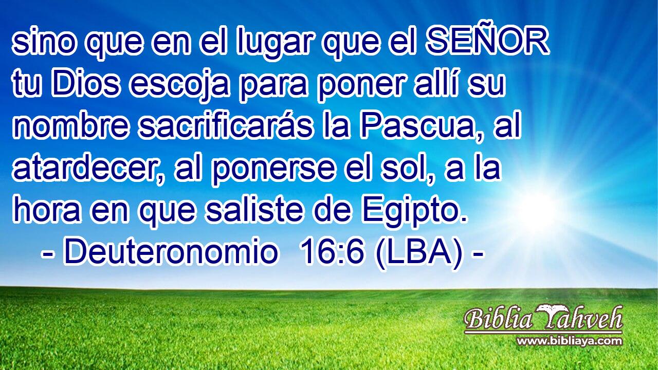 sino que en el lugar que el SEÑOR tu Dios escoja para poner allí su nombre sacrificarás la Pascua, al atardecer, al ponerse el sol, a la hora en que saliste de Egipto.