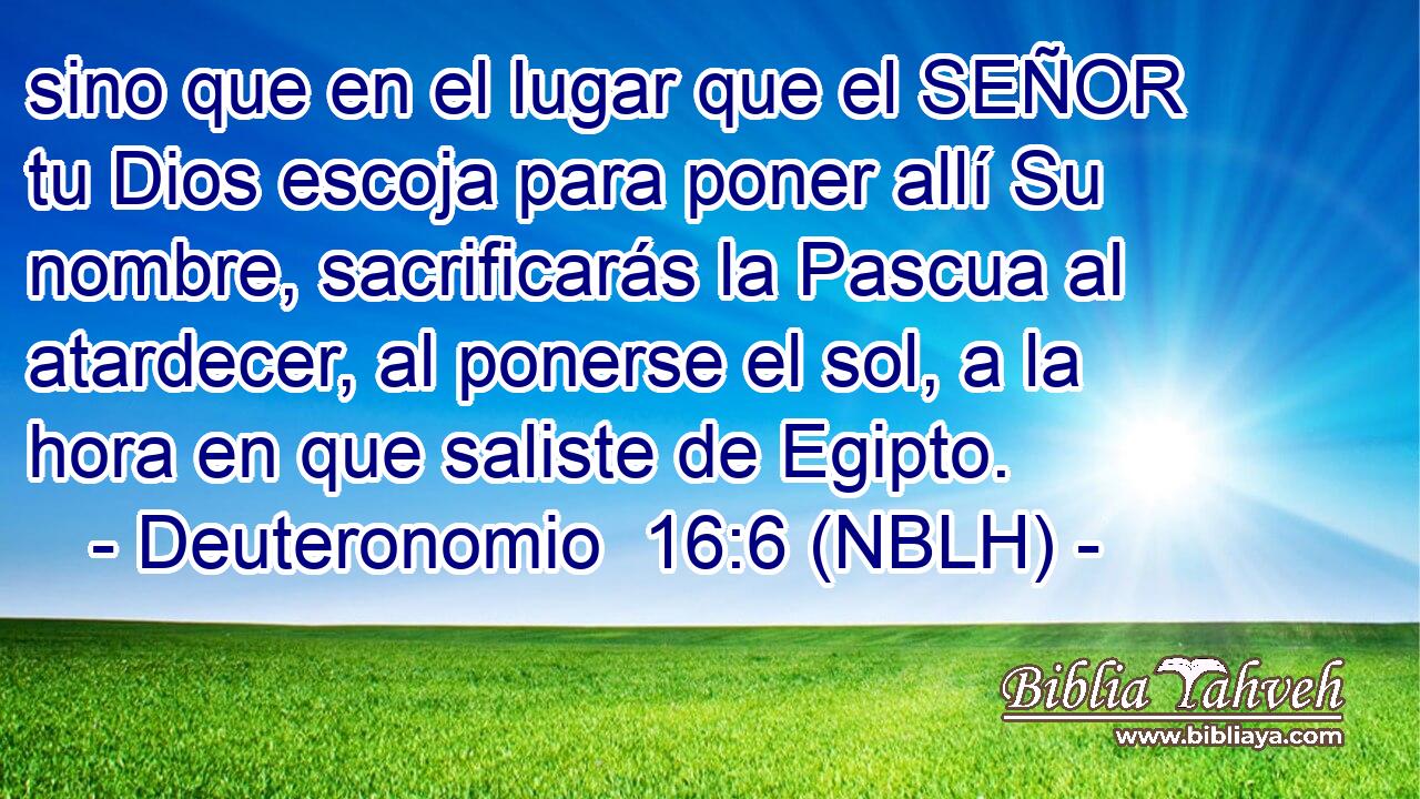  sino que en el lugar que el SEÑOR tu Dios escoja para poner allí Su nombre, sacrificarás la Pascua al atardecer, al ponerse el sol, a la hora en que saliste de Egipto. 