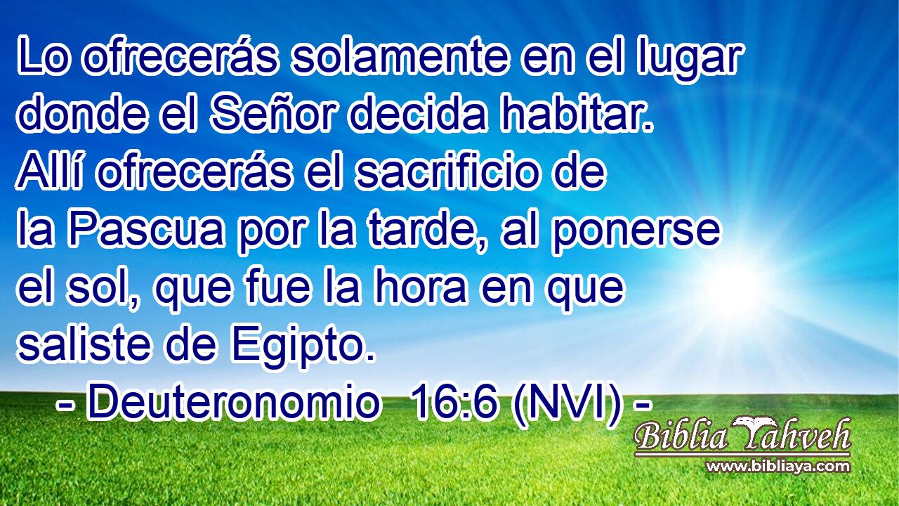  Lo ofrecerás solamente en el lugar donde el Señor decida habitar. Allí ofrecerás el sacrificio de la Pascua por la tarde, al ponerse el sol, que fue la hora en que saliste de Egipto. 