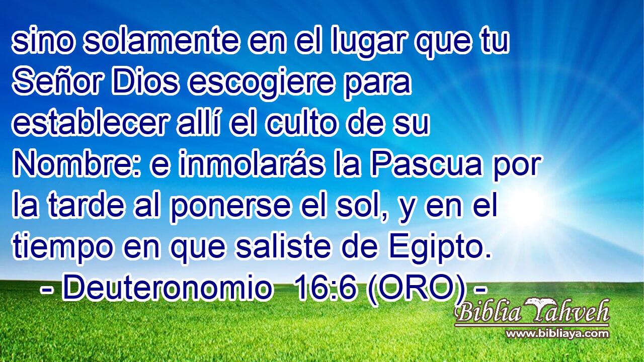 sino solamente en el lugar que tu Señor Dios escogiere para establecer allí el culto de su Nombre: e inmolarás la Pascua por la tarde al ponerse el sol, y en el tiempo en que saliste de Egipto. 