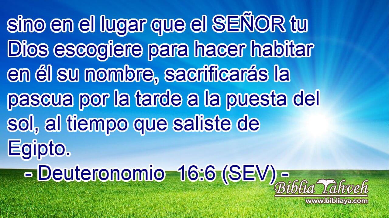 sino en el lugar que el SEÑOR tu Dios escogiere para hacer habitar en él su nombre, sacrificarás la pascua por la tarde a la puesta del sol, al tiempo que saliste de Egipto.