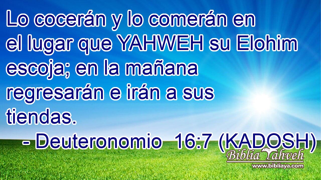  Lo cocerán y lo comerán en el lugar que YAHWEH su Elohim escoja; en la mañana regresarán e irán a sus tiendas. 