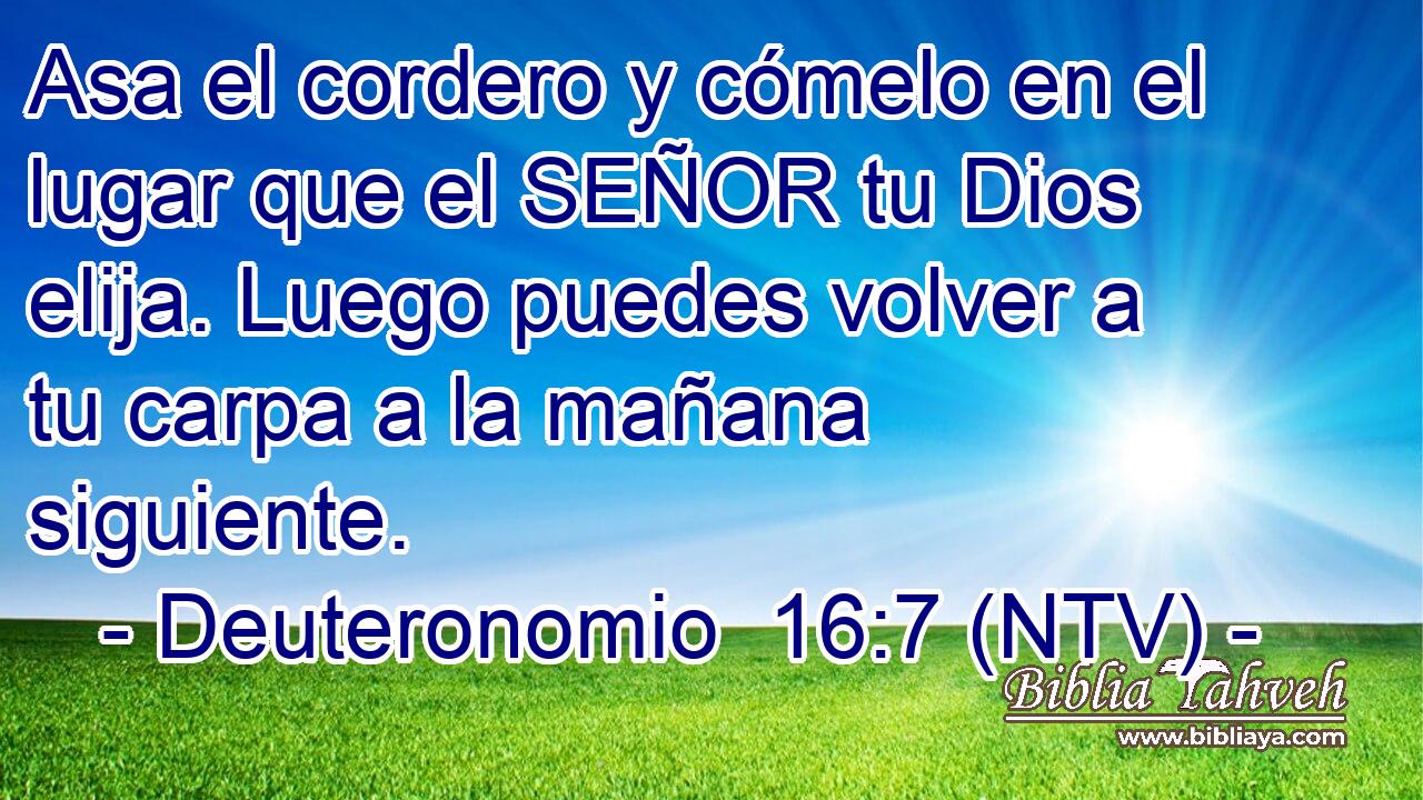 Asa el cordero y cómelo en el lugar que el SEÑOR tu Dios elija. Luego puedes volver a tu carpa a la mañana siguiente.
