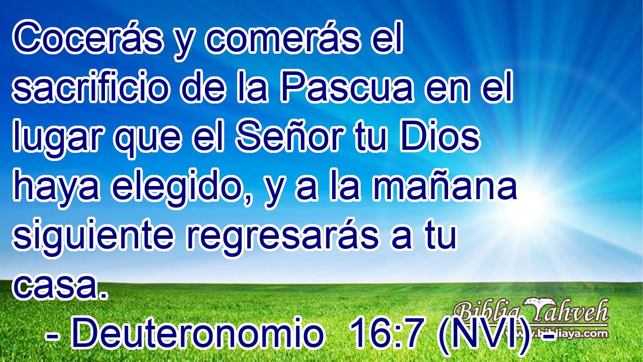  Cocerás y comerás el sacrificio de la Pascua en el lugar que el Señor tu Dios haya elegido, y a la mañana siguiente regresarás a tu casa. 