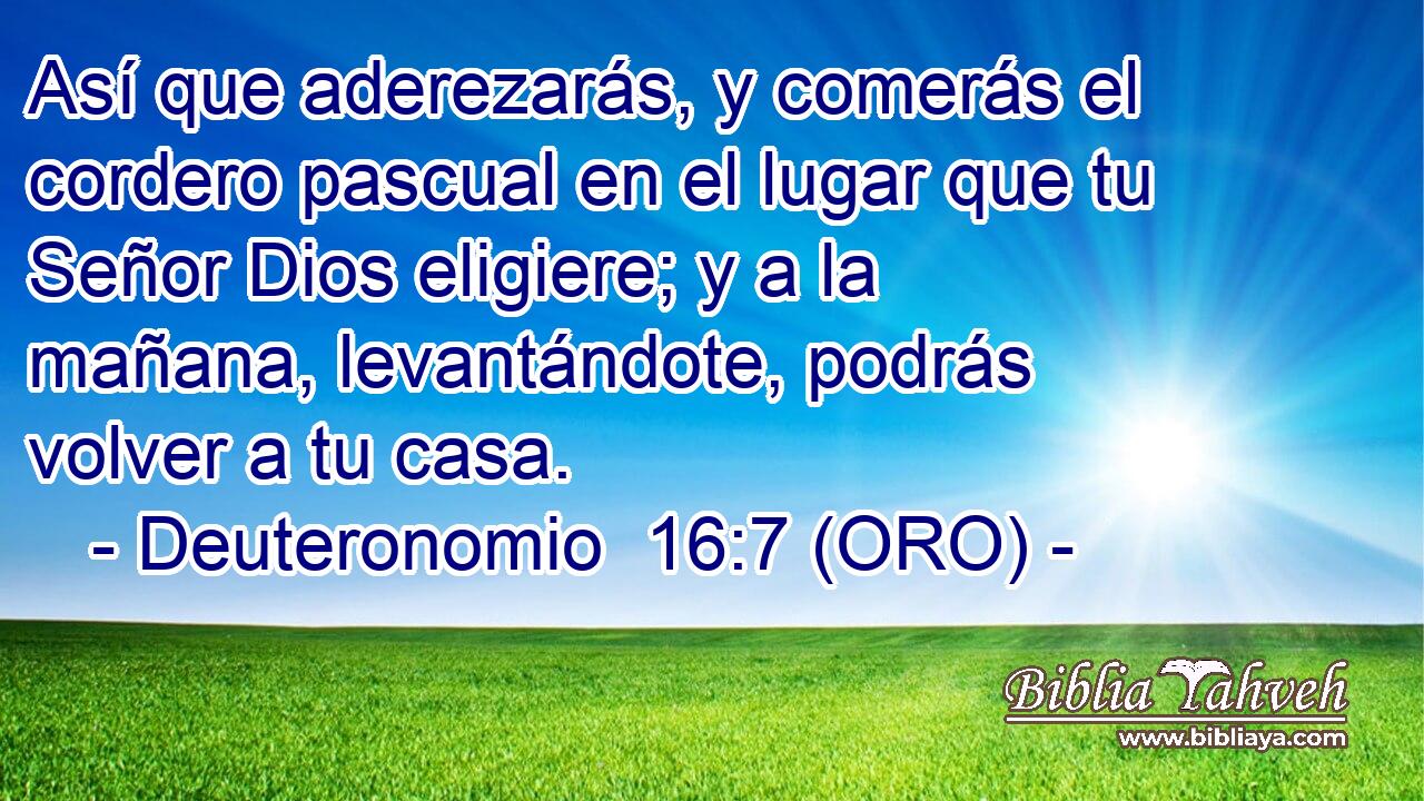  Así que aderezarás, y comerás el cordero pascual en el lugar que tu Señor Dios eligiere; y a la mañana, levantándote, podrás volver a tu casa. 