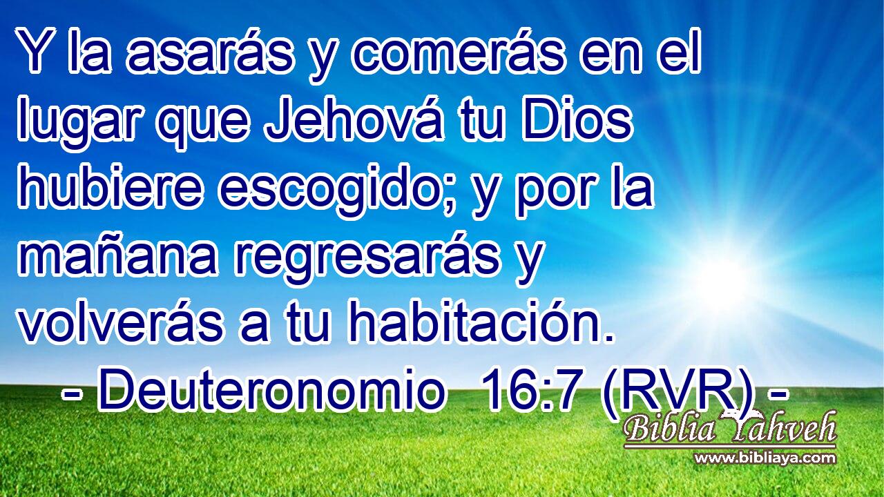 Y la asarás y comerás en el lugar que Jehová tu Dios hubiere escogido; y por la mañana regresarás y volverás a tu habitación.