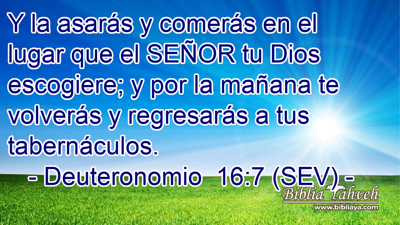Y la asarás y comerás en el lugar que el SEÑOR tu Dios escogiere; y por la mañana te volverás y regresarás a tus tabernáculos.