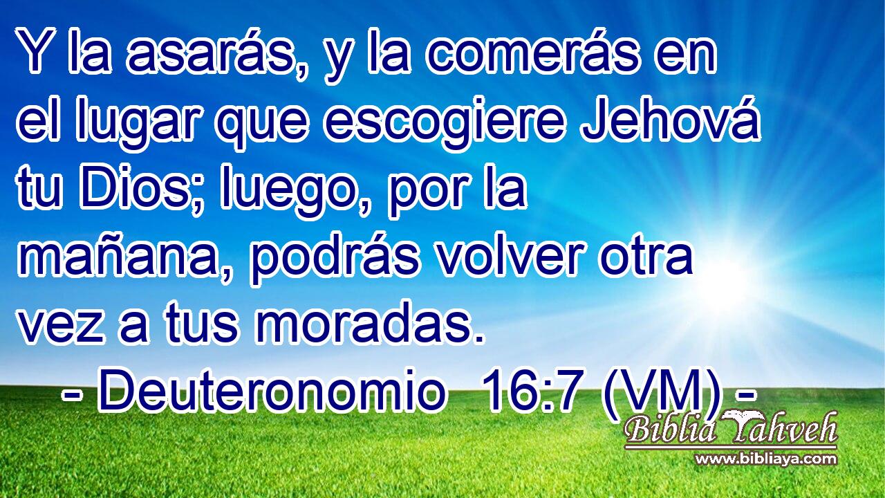  Y la asarás, y la comerás en el lugar que escogiere Jehová tu Dios; luego, por la mañana, podrás volver otra vez a tus moradas. 