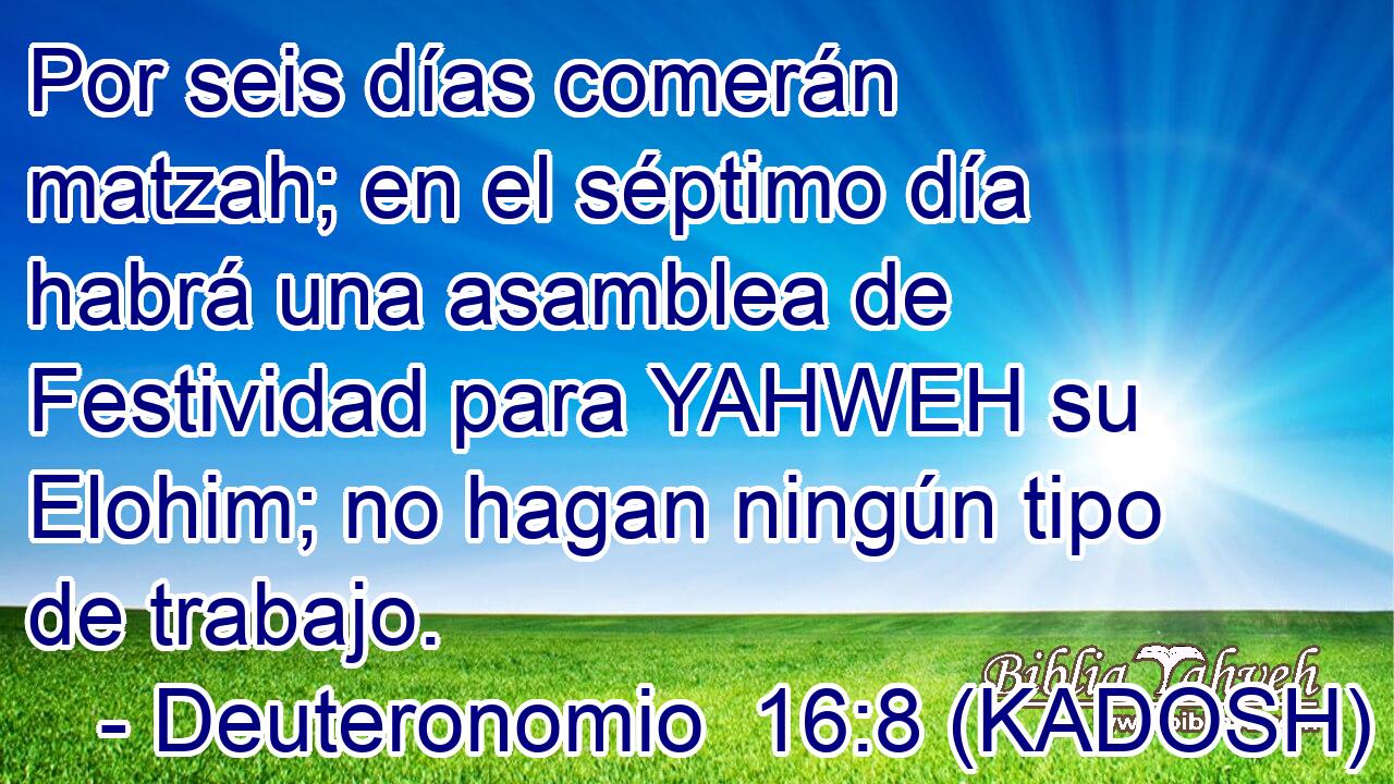  Por seis días comerán matzah; en el séptimo día habrá una asamblea de Festividad para YAHWEH su Elohim; no hagan ningún tipo de trabajo. 