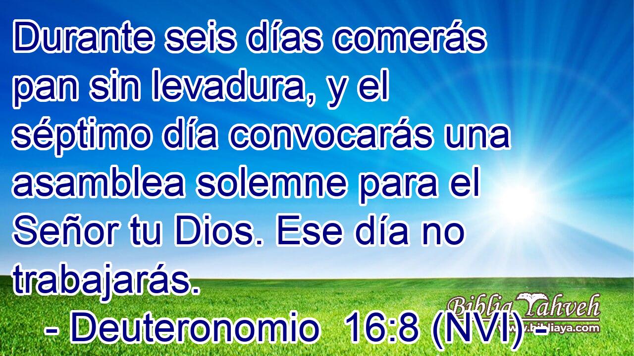  Durante seis días comerás pan sin levadura, y el séptimo día convocarás una asamblea solemne para el Señor tu Dios. Ese día no trabajarás. 