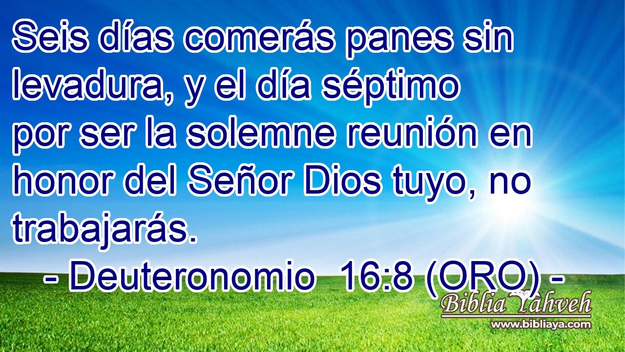  Seis días comerás panes sin levadura, y el día séptimo por ser la solemne reunión en honor del Señor Dios tuyo, no trabajarás. 