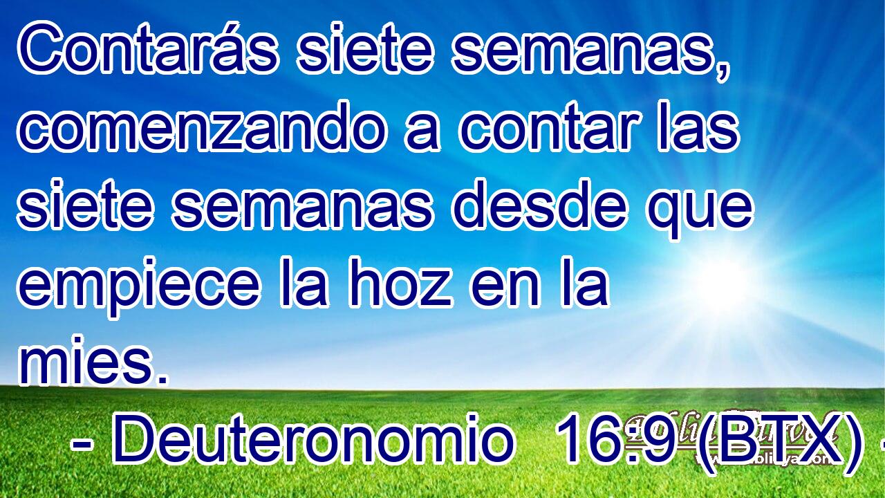 Contarás siete semanas, comenzando a contar las siete semanas desde que empiece la hoz en la mies.