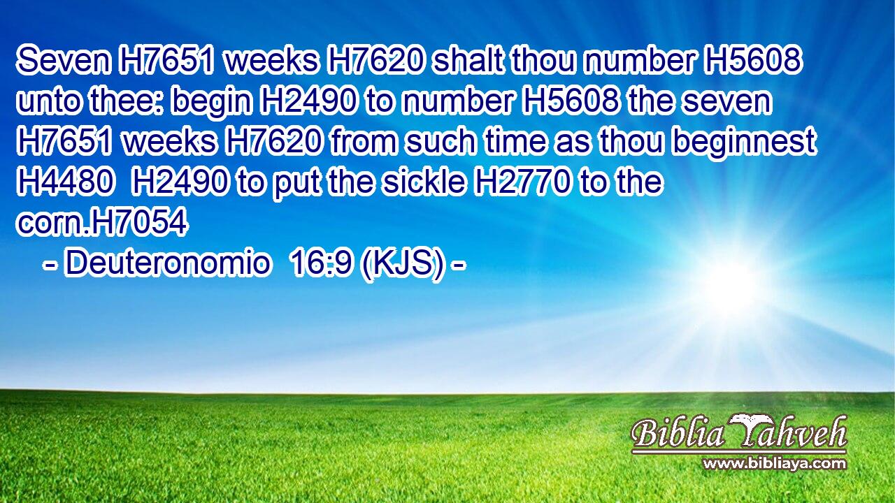 Seven H7651 weeks H7620 shalt thou number H5608 unto thee: begin H2490 to number H5608 the seven H7651 weeks H7620 from such time as thou beginnest H4480  H2490 to put the sickle H2770 to the corn.H7054