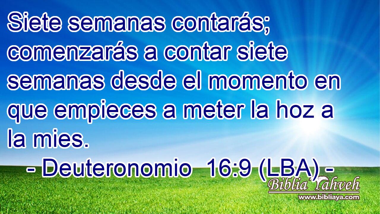 Siete semanas contarás; comenzarás a contar siete semanas desde el momento en que empieces a meter la hoz a la mies.
