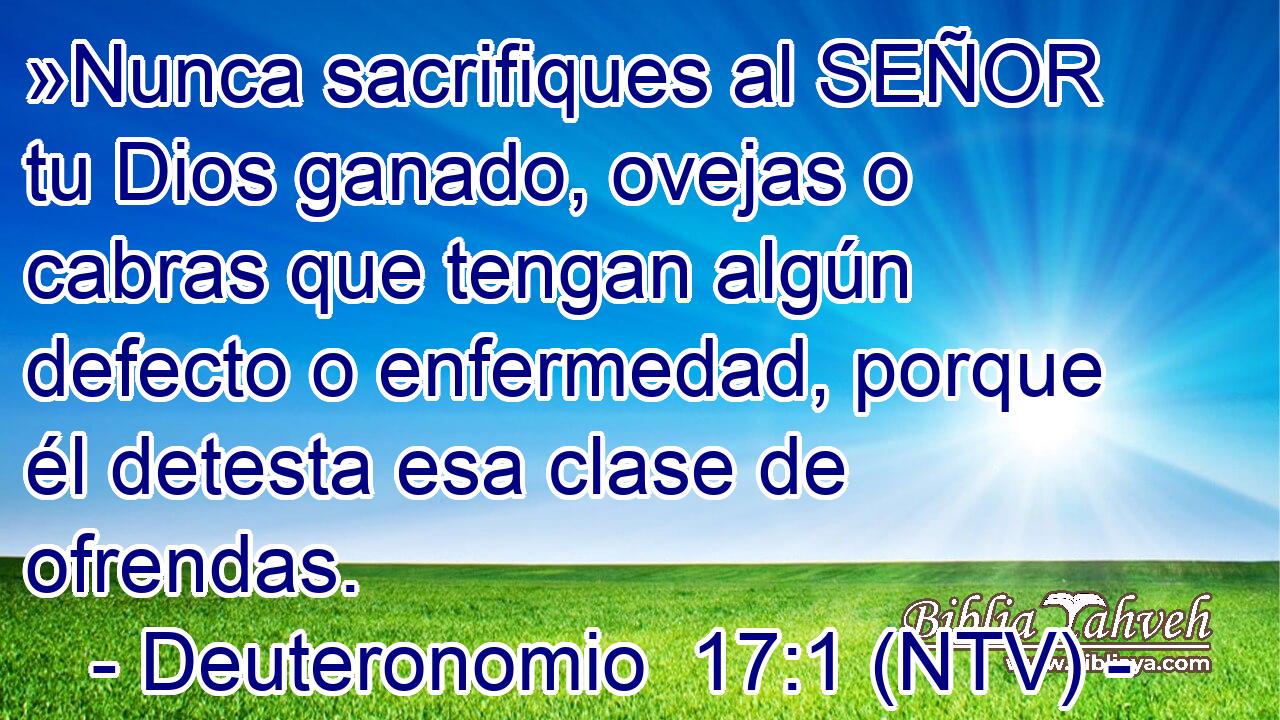 »Nunca sacrifiques al SEÑOR tu Dios ganado, ovejas o cabras que tengan algún defecto o enfermedad, porque él detesta esa clase de ofrendas.