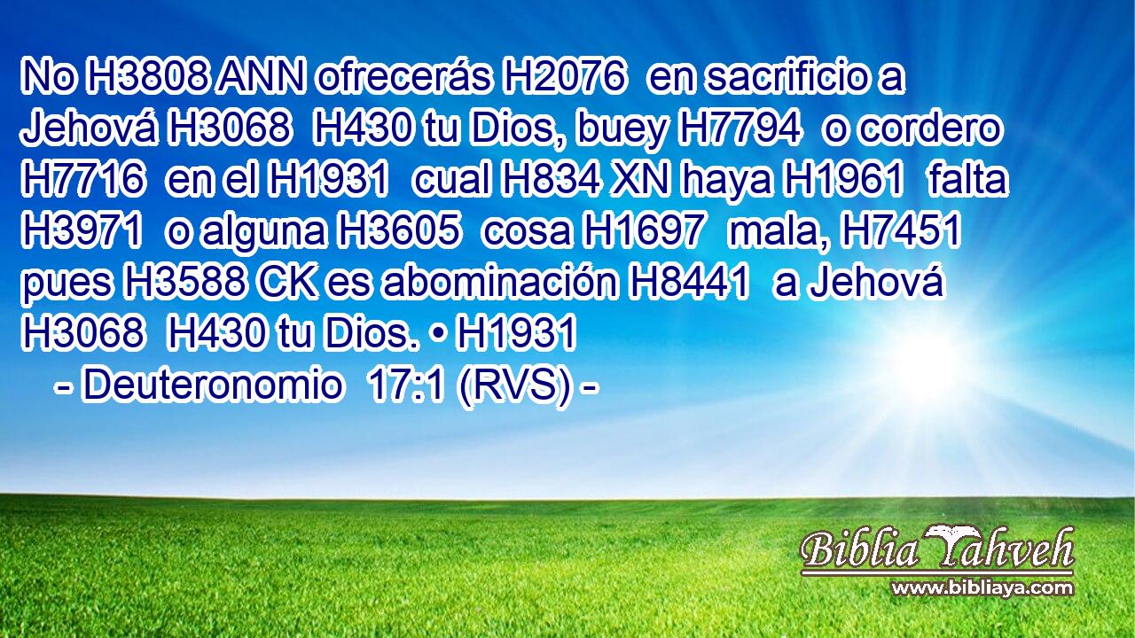 No H3808 ANN ofrecerás H2076  en sacrificio a Jehová H3068  H430 tu Dios, buey H7794  o cordero H7716  en el H1931  cual H834 XN haya H1961  falta H3971  o alguna H3605  cosa H1697  mala, H7451  pues H3588 CK es abominación H8441  a Jehová H3068  H430 tu Dios. • H1931  