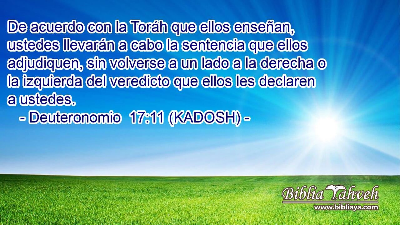  De acuerdo con la Toráh que ellos enseñan, ustedes llevarán a cabo la sentencia que ellos adjudiquen, sin volverse a un lado a la derecha o la izquierda del veredicto que ellos les declaren a ustedes. 