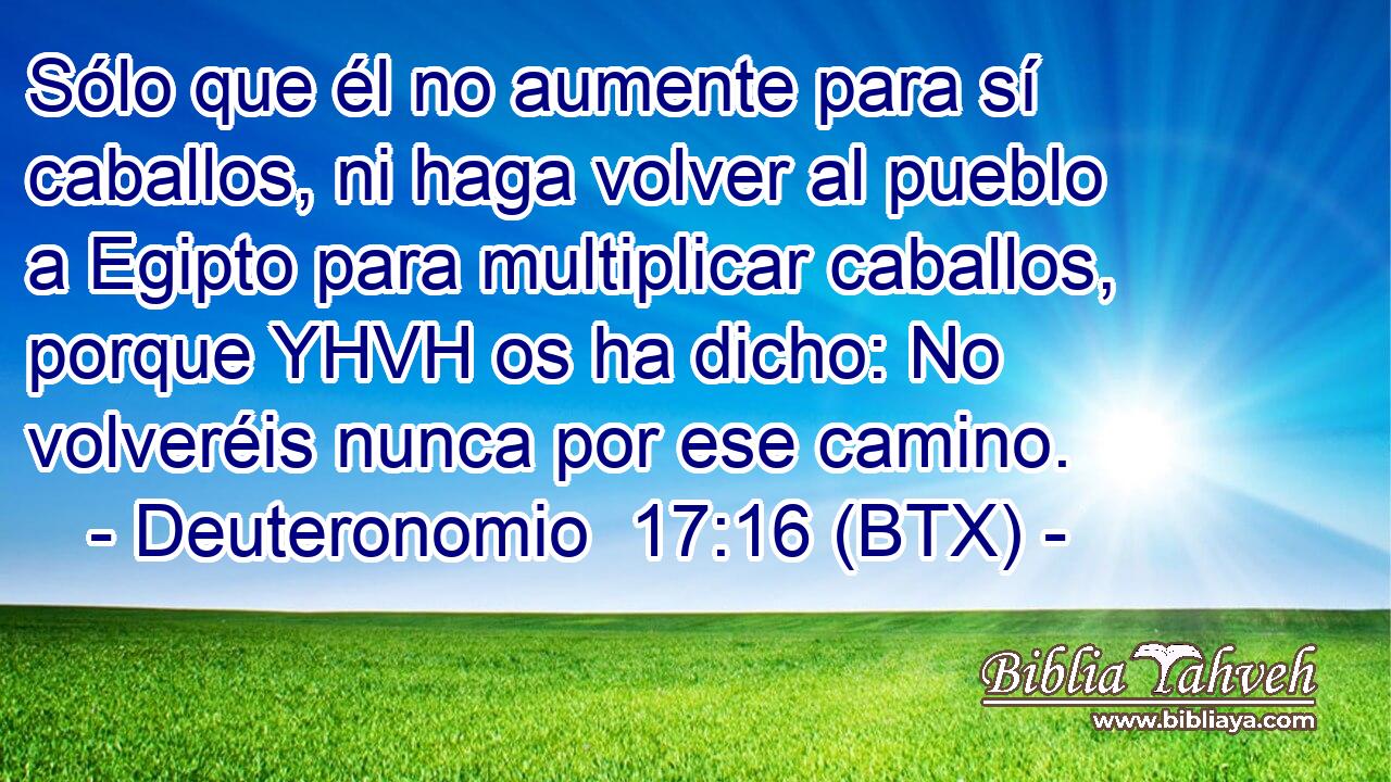 Sólo que él no aumente para sí caballos, ni haga volver al pueblo a Egipto para multiplicar caballos, porque YHVH os ha dicho: No volveréis nunca por ese camino.