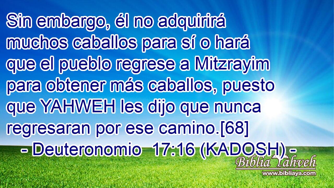  Sin embargo, él no adquirirá muchos caballos para sí o hará que el pueblo regrese a Mitzrayim para obtener más caballos, puesto que YAHWEH les dijo que nunca regresaran por ese camino.[68] 