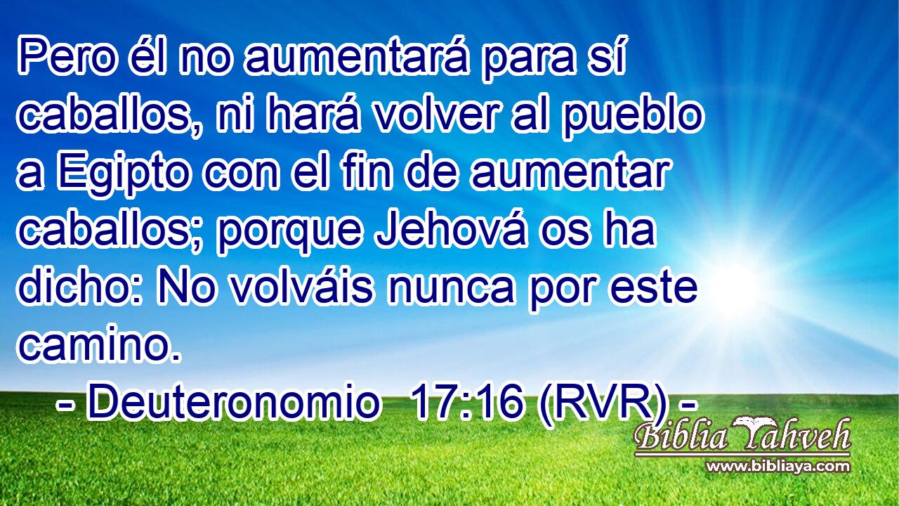 Pero él no aumentará para sí caballos, ni hará volver al pueblo a Egipto con el fin de aumentar caballos; porque Jehová os ha dicho: No volváis nunca por este camino.