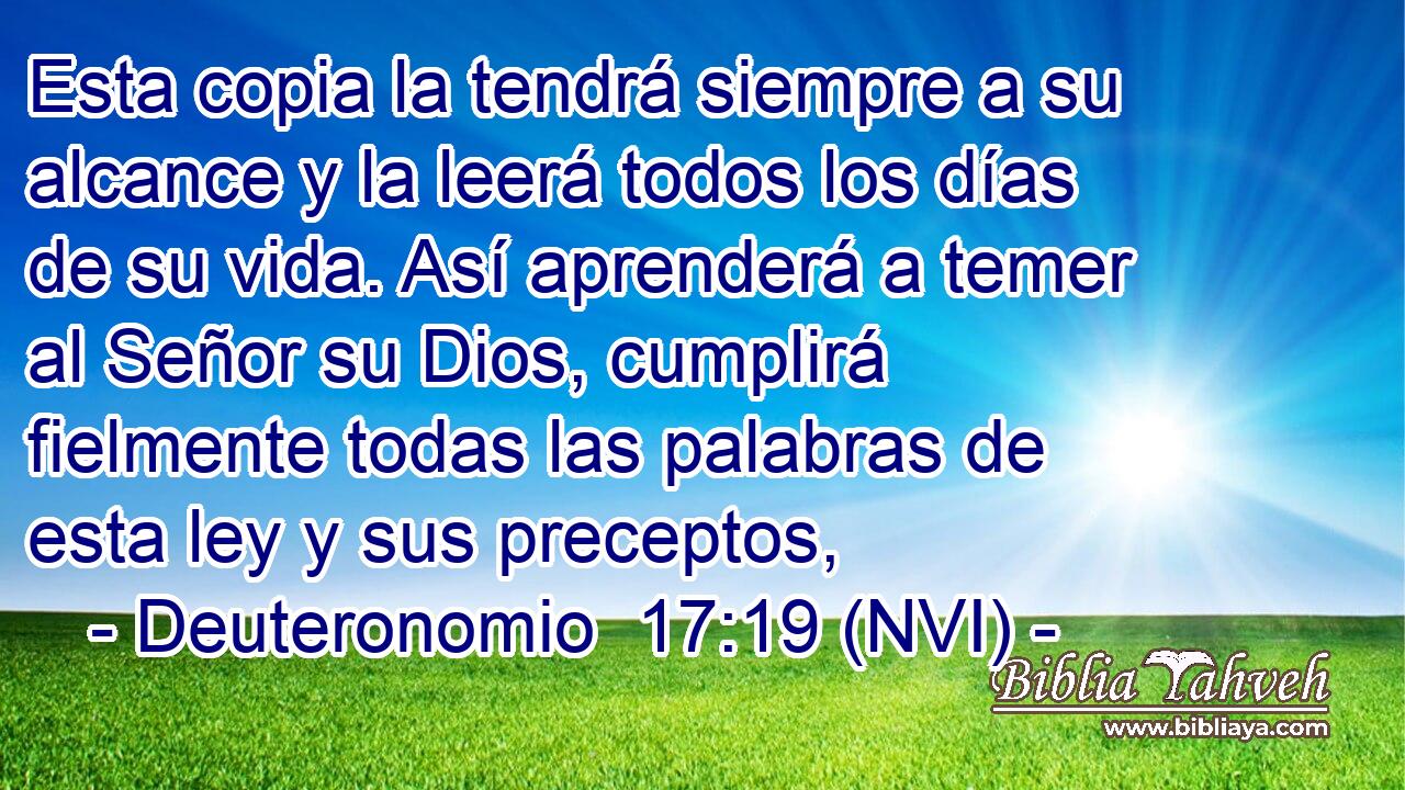  Esta copia la tendrá siempre a su alcance y la leerá todos los días de su vida. Así aprenderá a temer al Señor su Dios, cumplirá fielmente todas las palabras de esta ley y sus preceptos, 