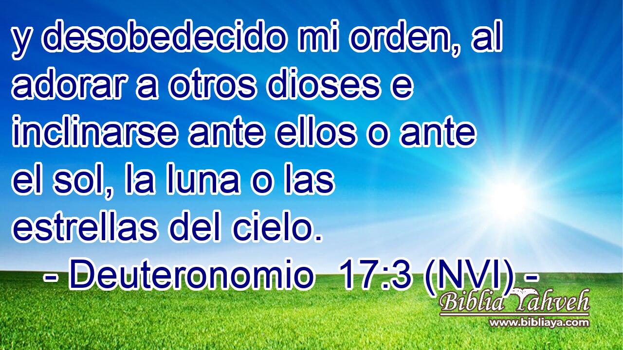  y desobedecido mi orden, al adorar a otros dioses e inclinarse ante ellos o ante el sol, la luna o las estrellas del cielo. 