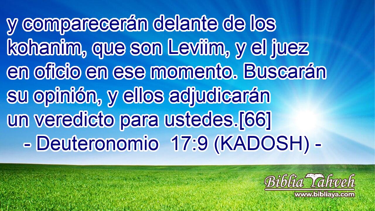  y comparecerán delante de los kohanim, que son Leviim, y el juez en oficio en ese momento. Buscarán su opinión, y ellos adjudicarán un veredicto para ustedes.[66] 