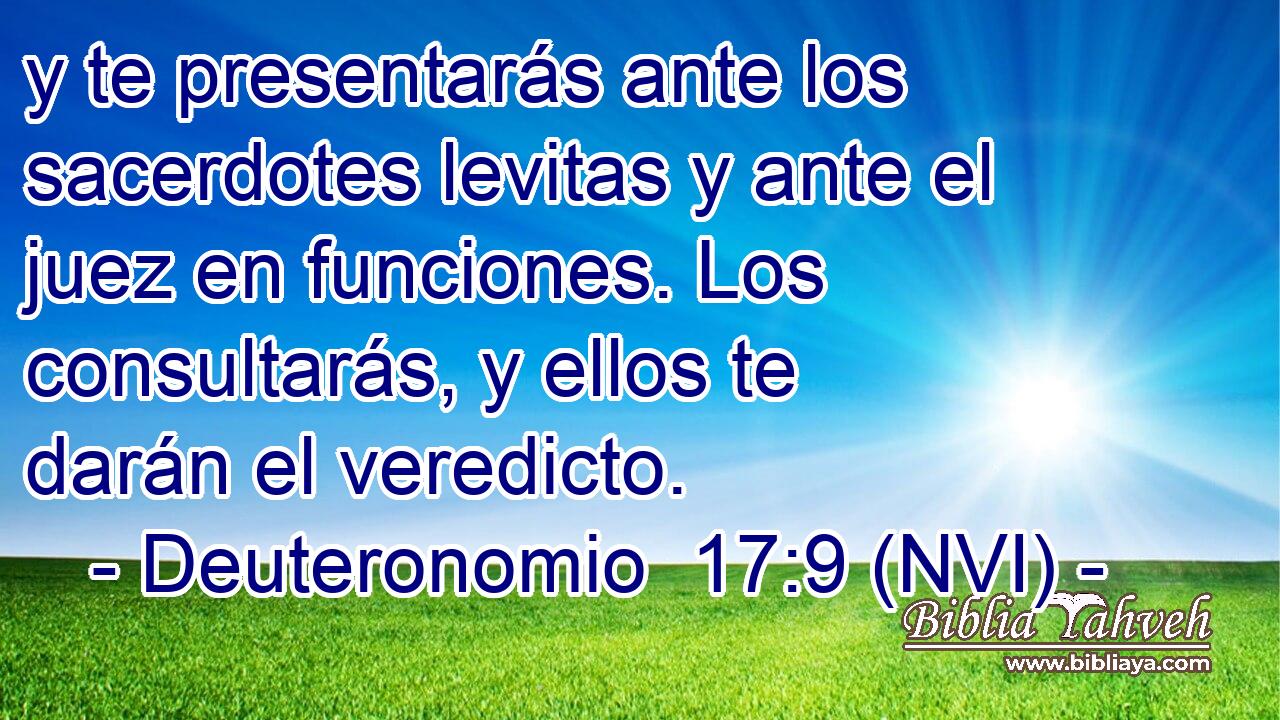  y te presentarás ante los sacerdotes levitas y ante el juez en funciones. Los consultarás, y ellos te darán el veredicto. 