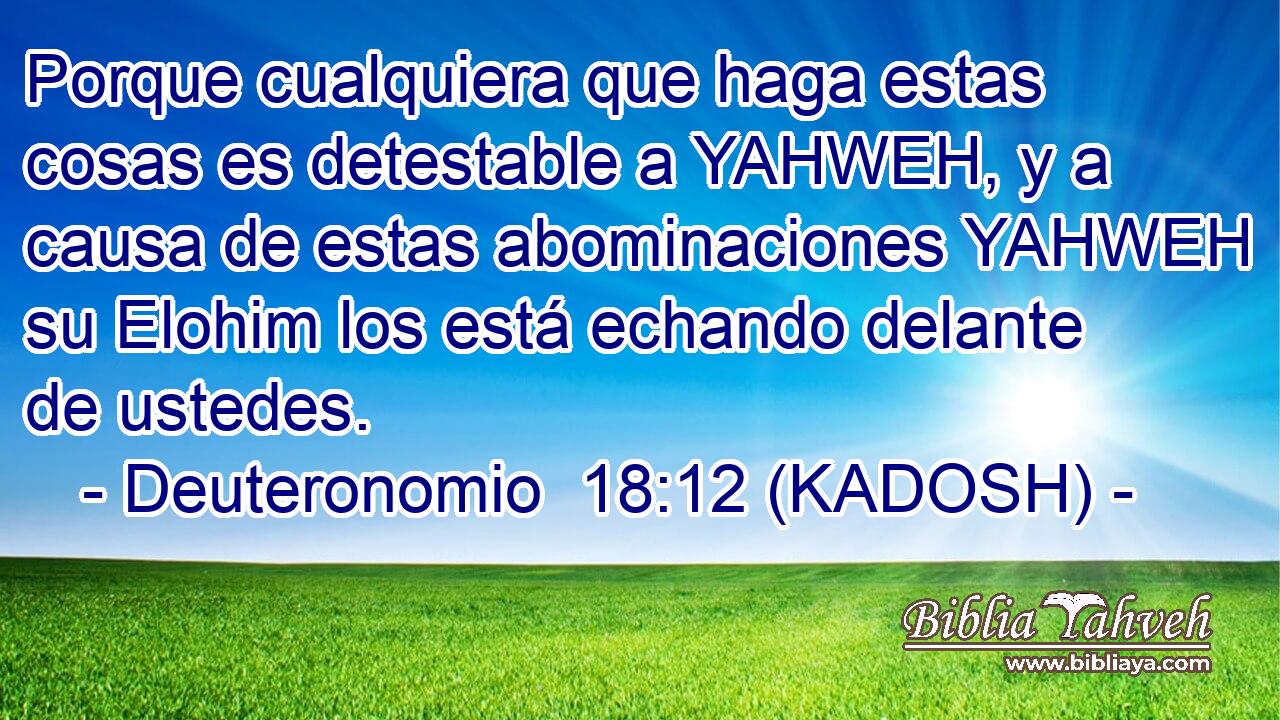  Porque cualquiera que haga estas cosas es detestable a YAHWEH, y a causa de estas abominaciones YAHWEH su Elohim los está echando delante de ustedes. 
