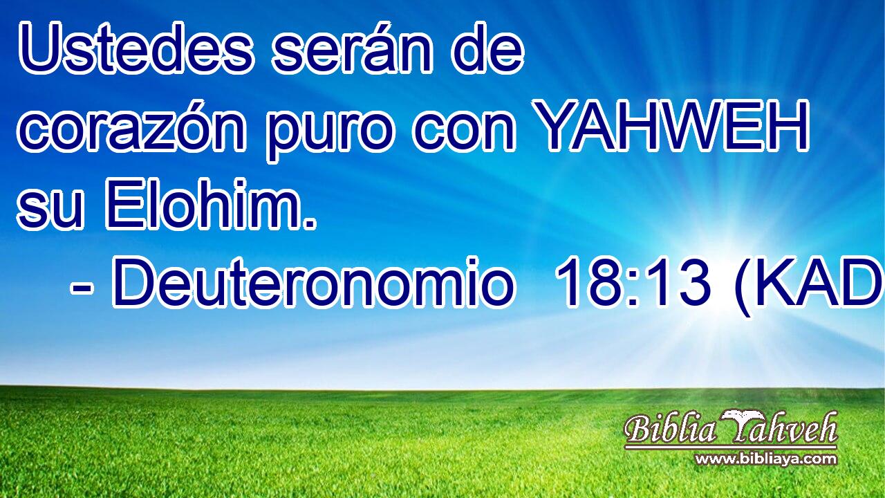  Ustedes serán de corazón puro con YAHWEH su Elohim. 