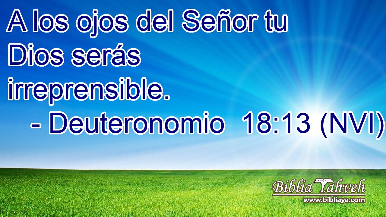  A los ojos del Señor tu Dios serás irreprensible. 