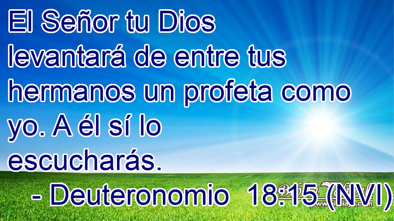  El Señor tu Dios levantará de entre tus hermanos un profeta como yo. A él sí lo escucharás. 