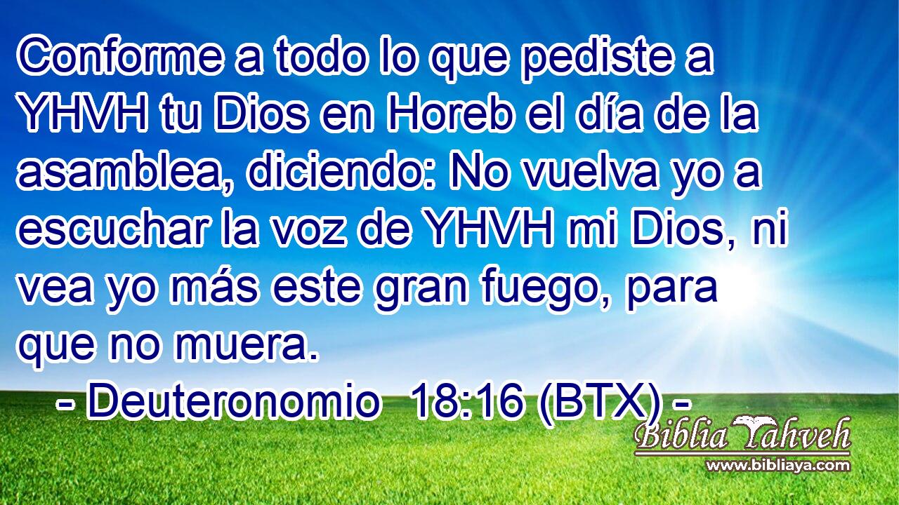 Conforme a todo lo que pediste a YHVH tu Dios en Horeb el día de la asamblea, diciendo: No vuelva yo a escuchar la voz de YHVH mi Dios, ni vea yo más este gran fuego, para que no muera.